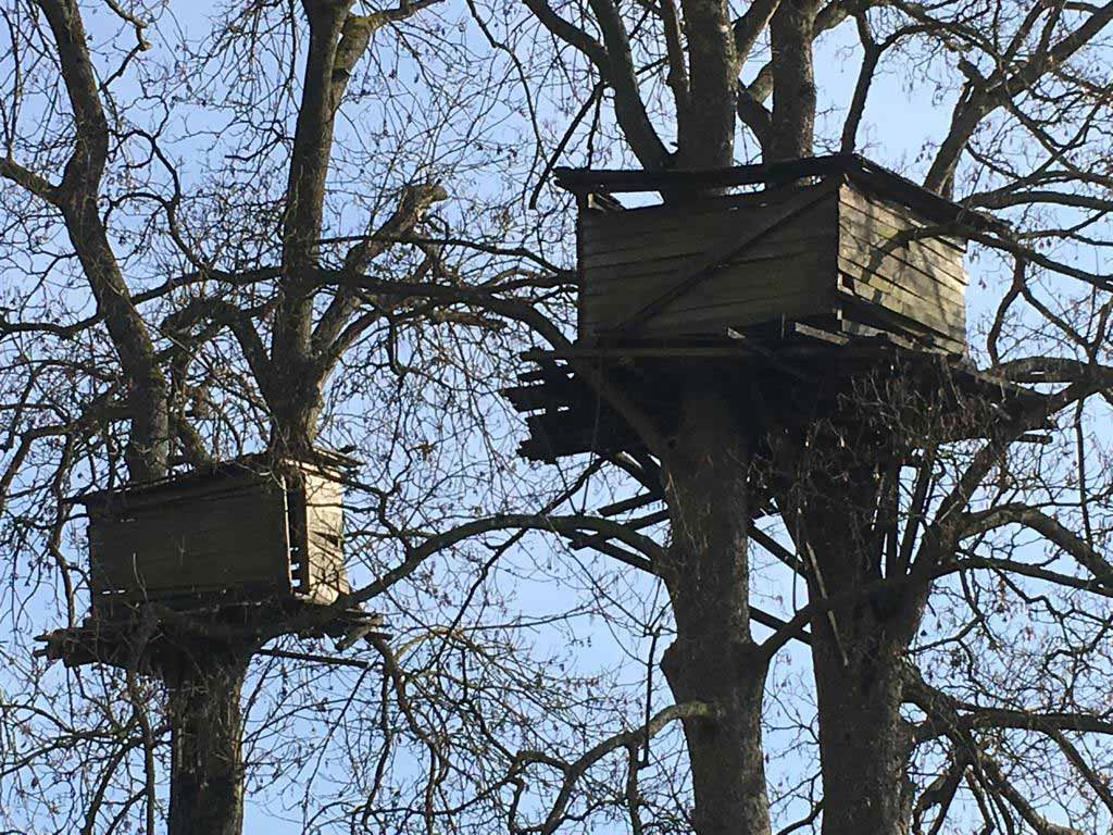 Cabanes : œuvres suspendues